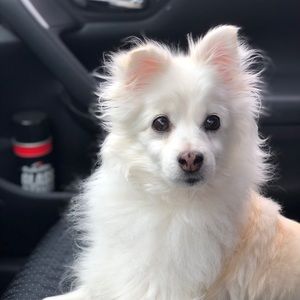 Meet your Posher, Crista